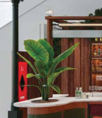 Formula.International_Page30_Image4